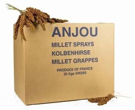 Quantité Limitée Octave Bauchant – Millet Rouge en Grappes Carton