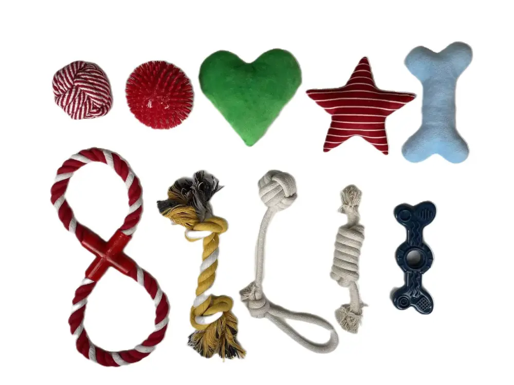Meilleur Prix Tootoy! – Set Jeux d'Exploration &agrave; M&acirc;cher