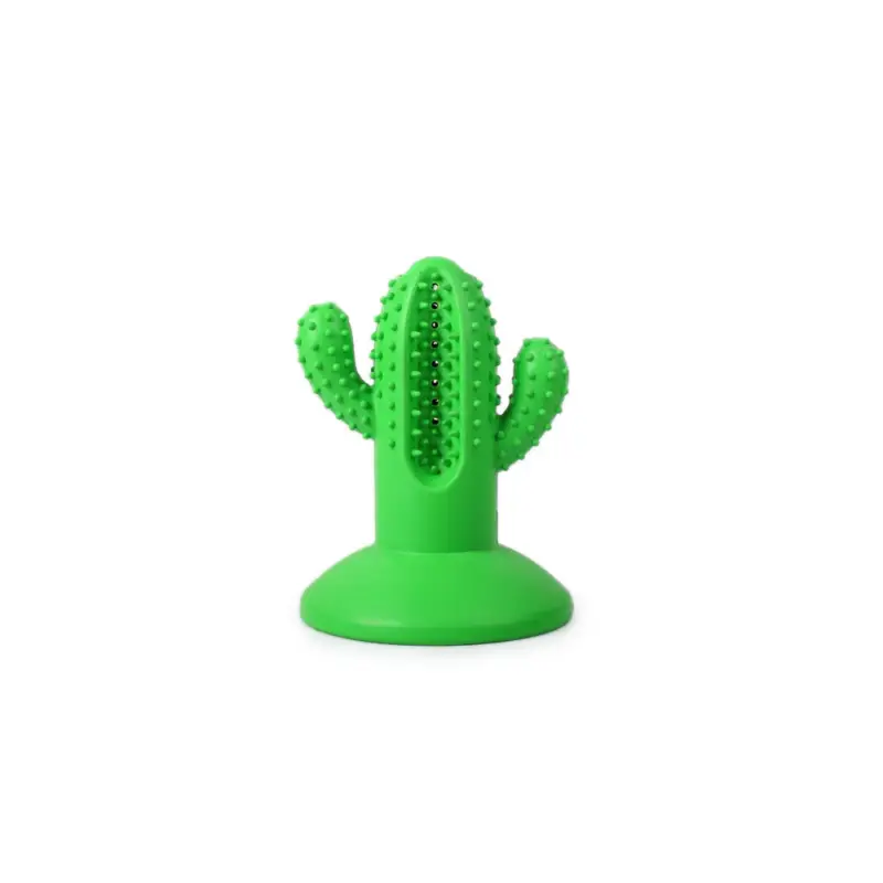 Populaire Tootoy! - Jouet Dentaire Cactus