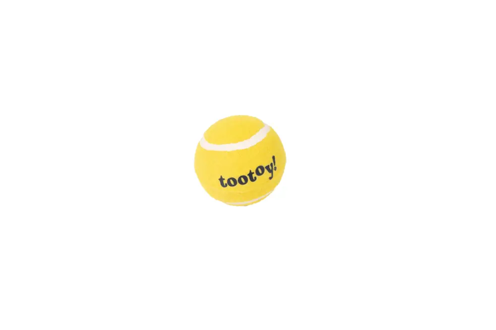 Prix Cassé Tootoy! – Balle Tennis