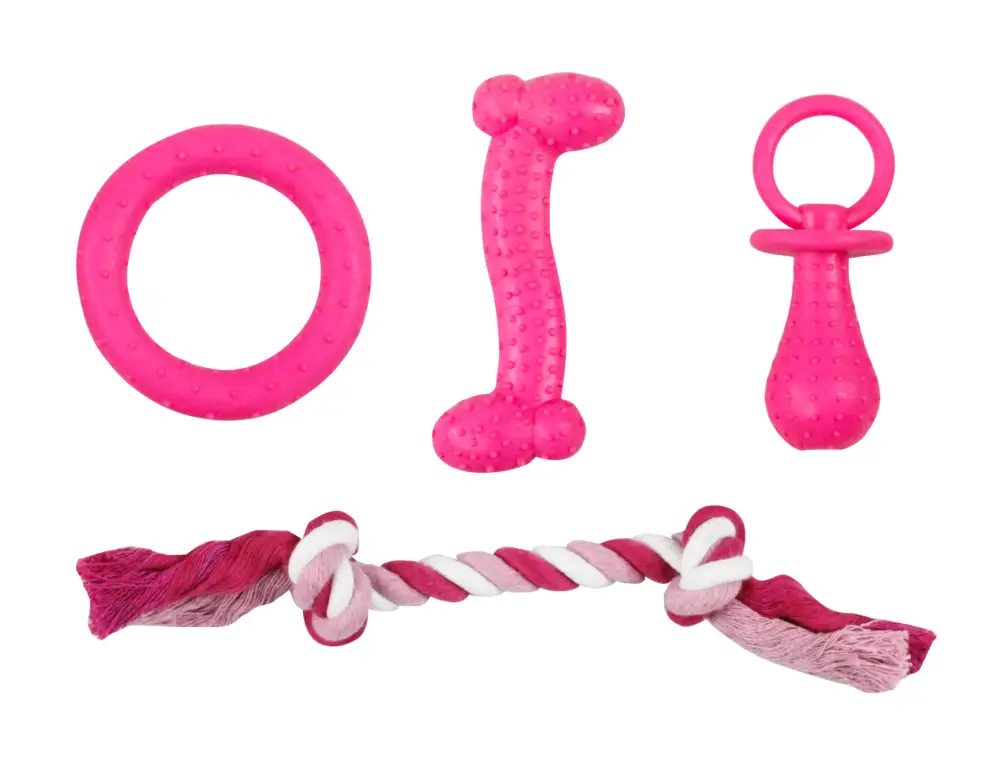 Tootoy! – Set Chiot Dentaire x4 Promotion