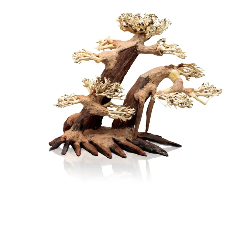 Pas Cher Aquavie – D&eacute;coration Bonsa&iuml; Nature pour Aquarium – L/XL