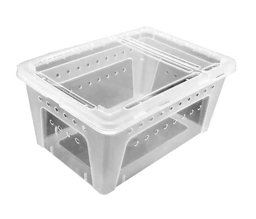 Promotion Saisonnière Reptiles Planet – Boite Elevage Reptiles ou Insectes L- 32x22x15cm