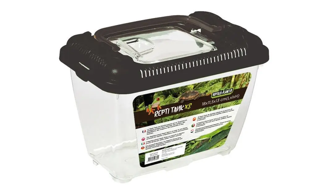 Reptiles Planet – Terrarium Plastique Repti Tank XS pour Reptiles – 18×11,5x13cm Vente Flash