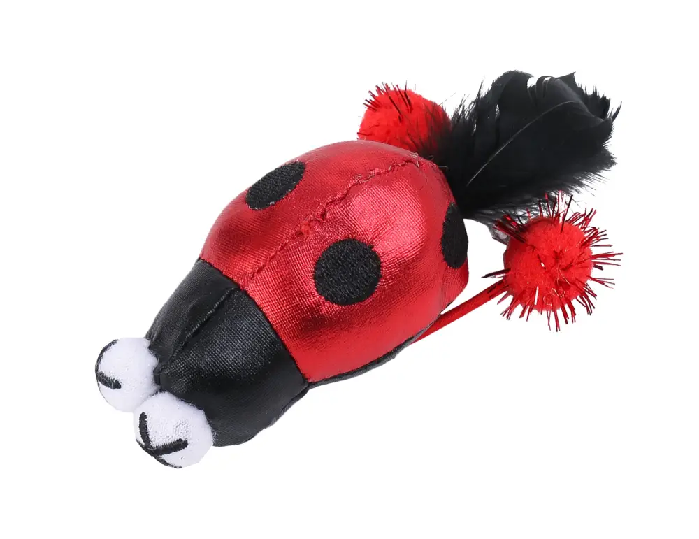 Offre Du Jour Wouapy - Jouet Chat Disco Coccinelle