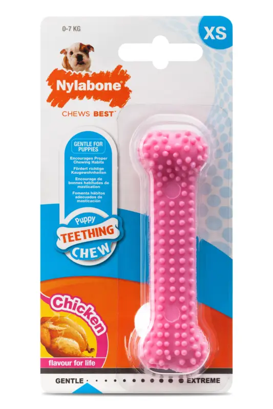 Seulement Aujourd'hui Nylabone - Jouet à Mâcher Puppy Dental Bone XS