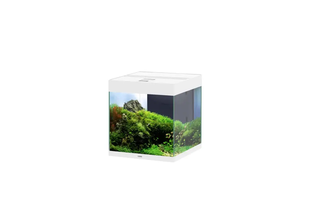 Prix Réduit Ciano - Aquarium Emotions Pro 40 Blanc - 52L