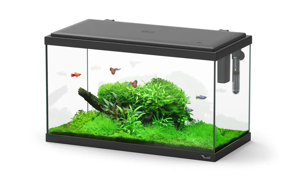 Aquatlantis - Aquarium Explorer Paris 60 - Noir Equipé Promotion Saisonnière