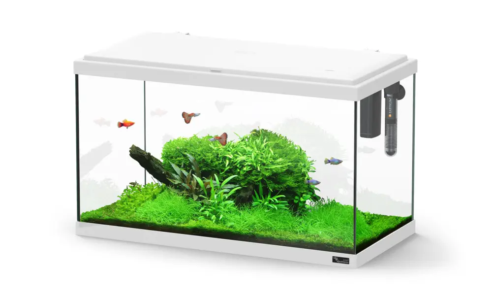 Haute Qualité Aquatlantis – Aquarium Explorer Paris 60 – Blanc Equip&eacute;