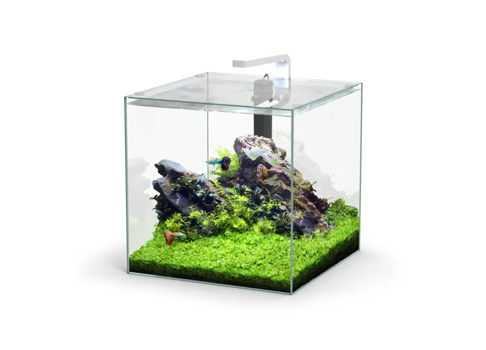 Aquatlantis - Aquarium Kubus 54L - Equipé Nouveauté