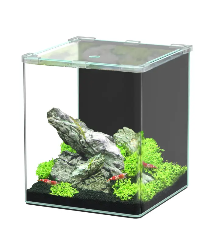Remise Aquatlantis – Aquarium Kubus Curve 20L Basic