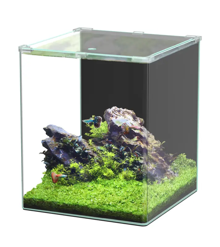 Aquatlantis - Aquarium Kubus Curve 65L - Basic Paiement Sécurisé