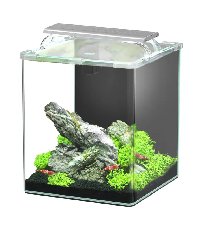 Dernier Modèle Aquatlantis – Aquarium Kubus Curve 20L – Essential