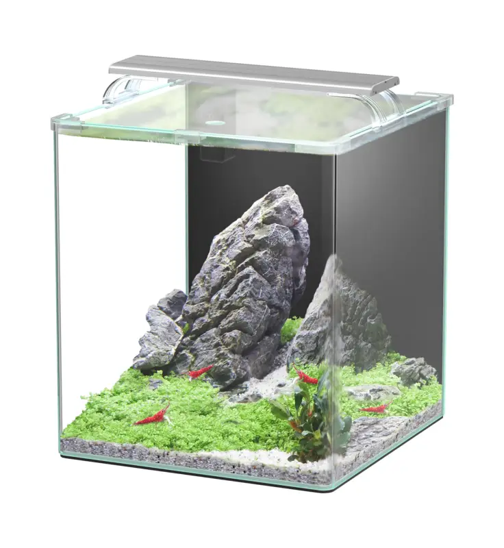 Acheter En Ligne Aquatlantis - Aquarium Kubus Curve 44L - Essential