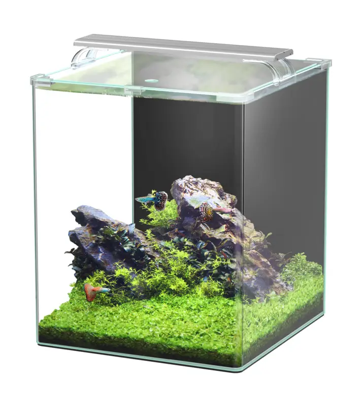 Aquatlantis – Kit Kubus Curve 65L Equip&eacute; Bon Plan