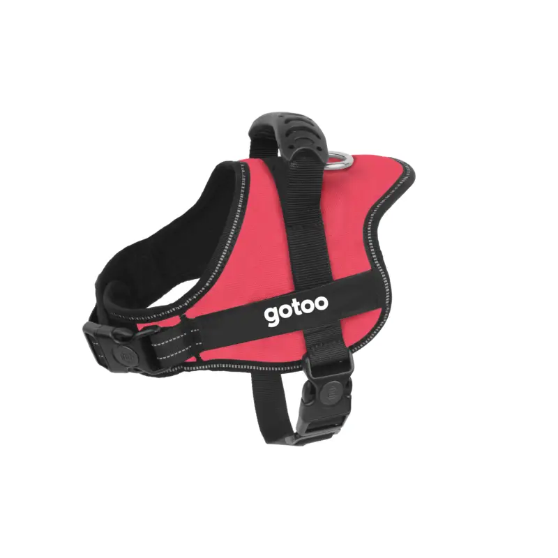 Livraison Express Gotoo – Harnais Essentials Rouge pour Chien
