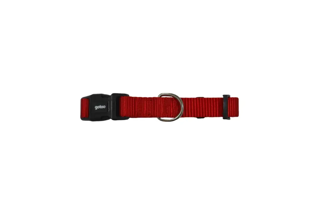 Affaire À Saisir Gotoo – Collier Essentials en Nylon Rouge pour Chien