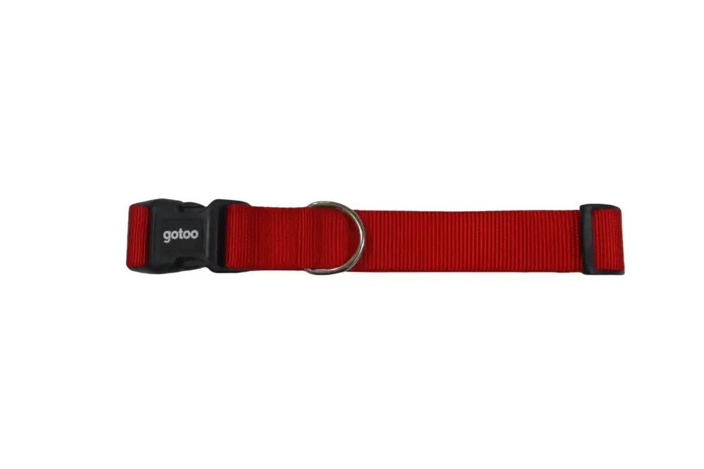 Retour Gratuit Gotoo – Collier Essentials en Nylon Rouge pour Chien