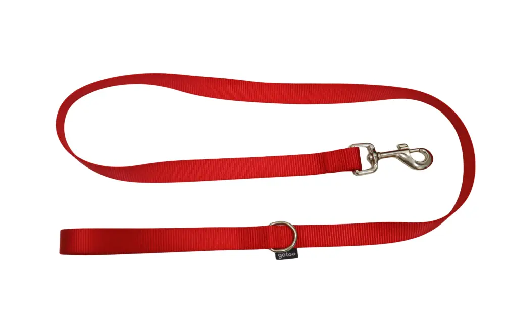 Gotoo - Laisse Essentials en Nylon pour Chien Offre Exclusive