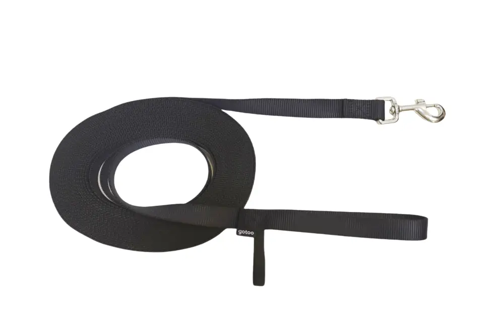 Achat Immédiat Gotoo - Longe Essentials en Nylon pour Chien