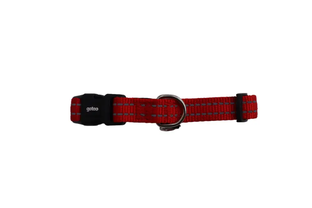 Offre Exclusive Gotoo – Collier Essentials en Nylon Premium Rouge pour Chien