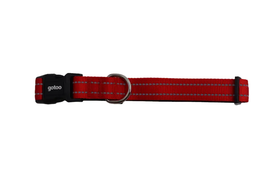 Prix Bas Gotoo - Collier Essentials en Nylon Premium Rouge pour Chien