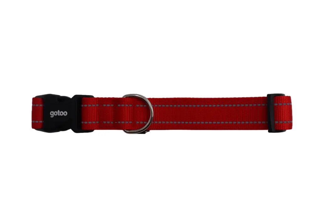 Gotoo – Collier Essentials en Nylon Premium Rouge pour Chien Nouvel Arrivage