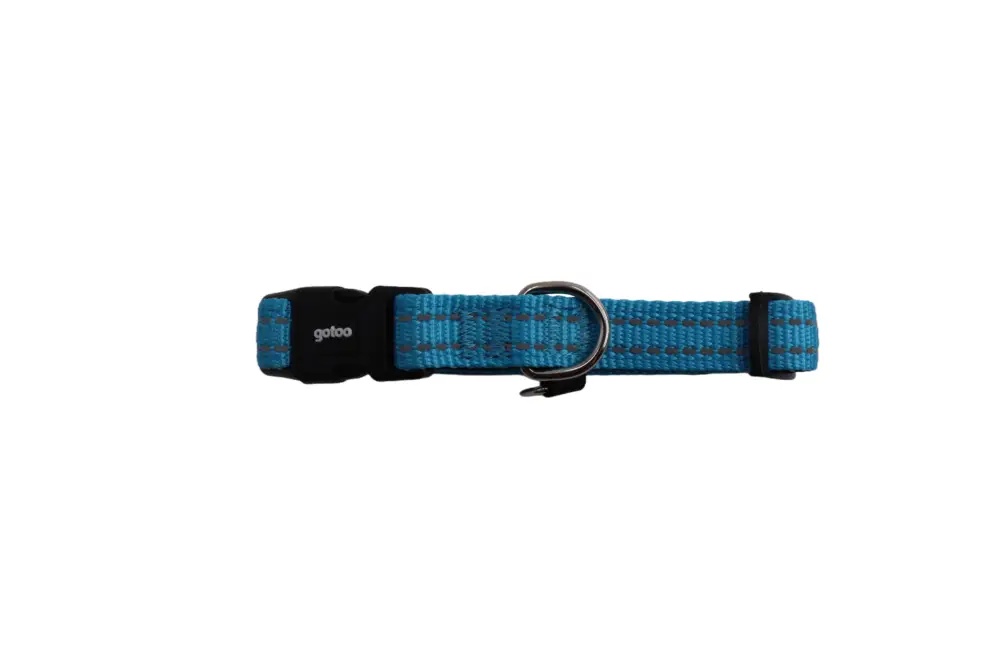 Nouveauté Gotoo – Collier Essentials en Nylon Premium Bleu pour Chien