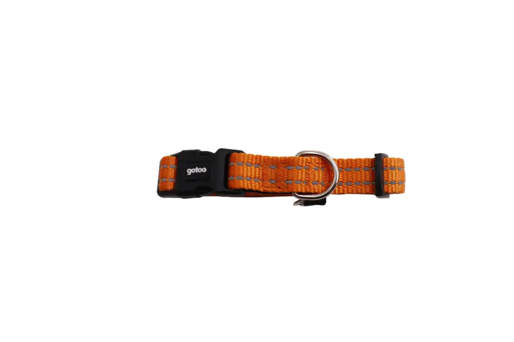 Gotoo - Collier Essentials en Nylon Premium Orange pour Chien Certifié