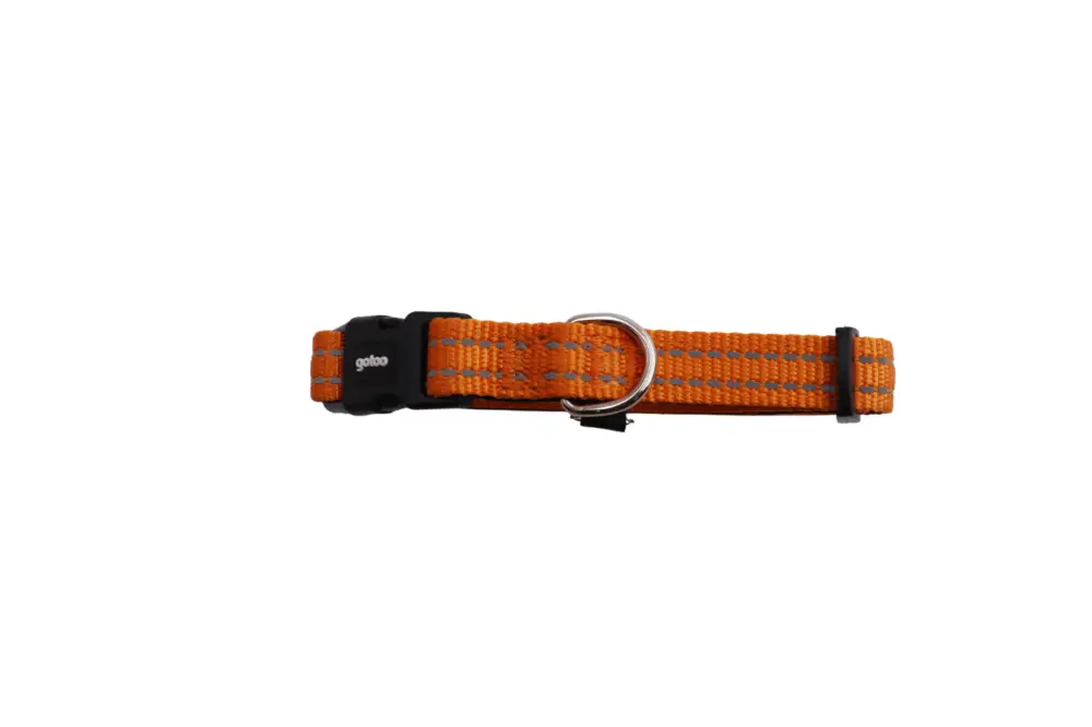 Gotoo – Collier Essentials en Nylon Premium Orange pour Chien Authentique