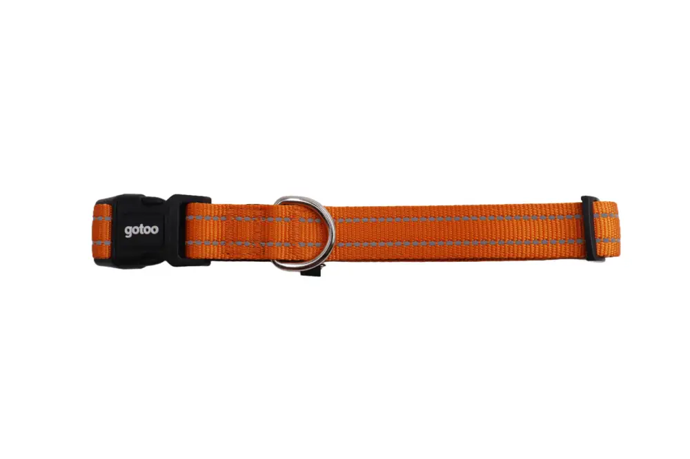Gotoo - Collier Essentials en Nylon Premium Orange pour Chien Offre Limitée
