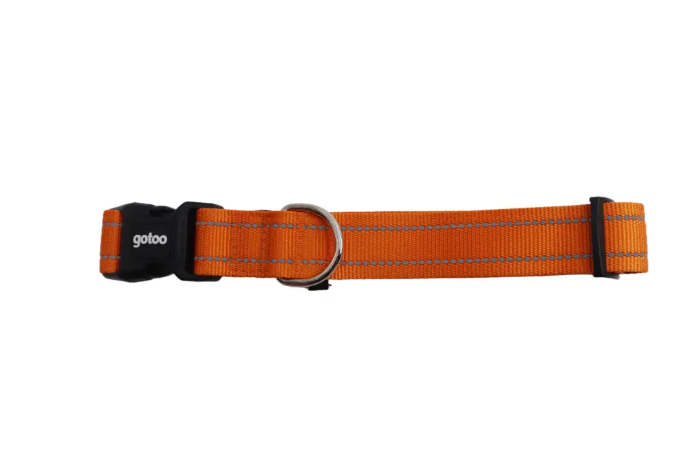 Gotoo – Collier Essentials en Nylon Premium Orange pour Chien Prix Cassé