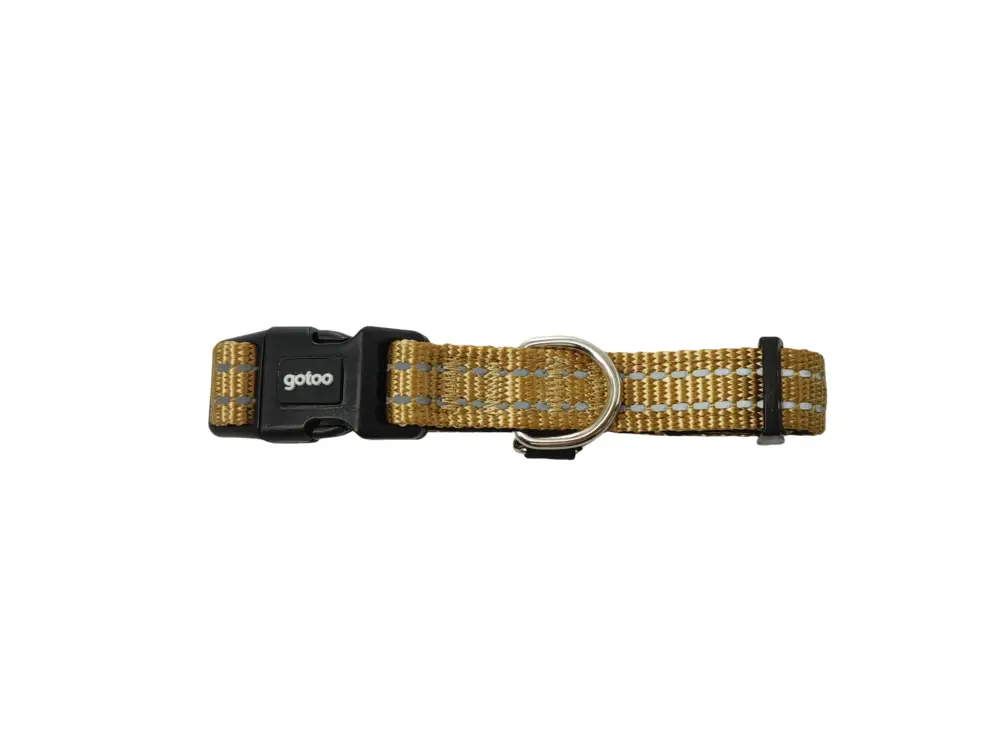 Nouvel Arrivage Gotoo - Collier Essentials en Nylon Premium Beige pour Chien