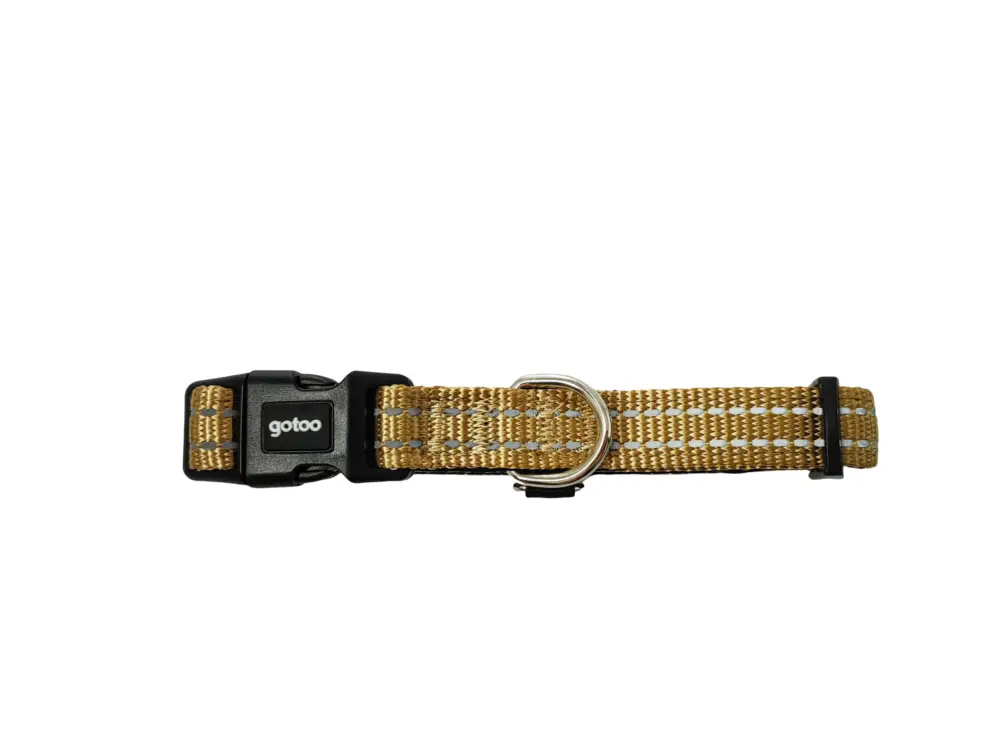 Gotoo – Collier Essentials en Nylon Premium Beige pour Chien Meilleur Prix