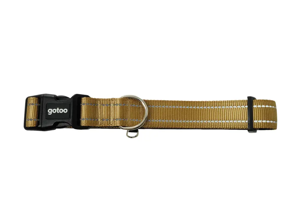 Offre Spéciale Gotoo – Collier Essentials en Nylon Premium Beige pour Chien