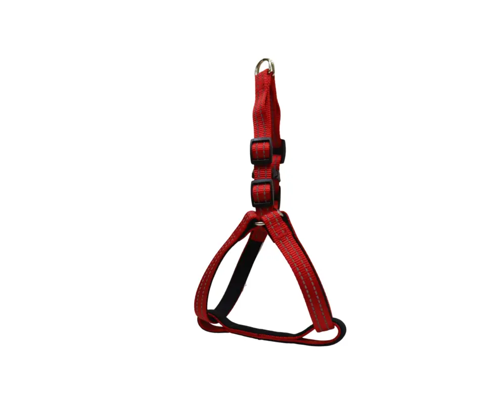 Expédition Rapide Gotoo – Harnais Essentials en Nylon Premium Rouge pour Chien
