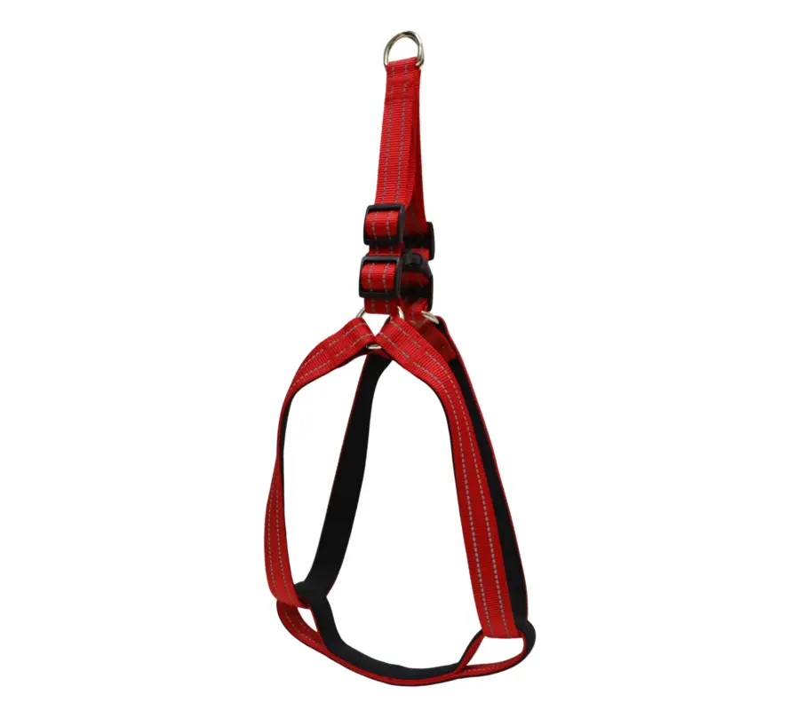 Gotoo – Harnais Essentials en Nylon Premium Rouge pour Chien Prix Réduit