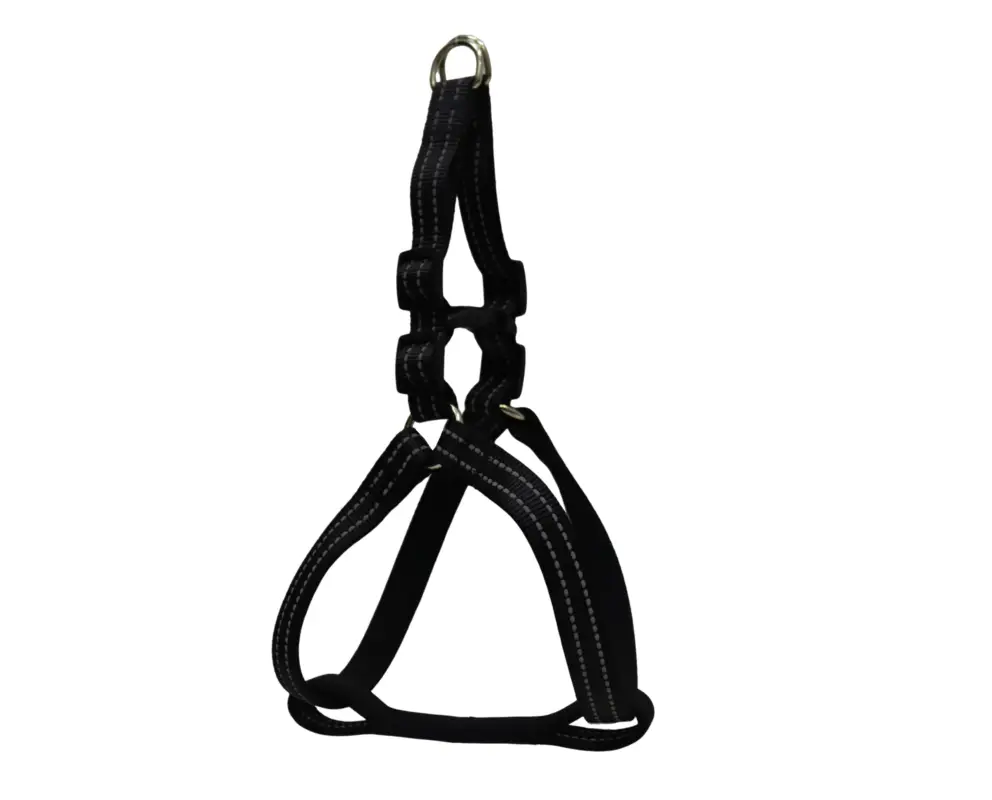 Dernière Chance Gotoo – Harnais Essentials en Nylon Premium Noir pour Chien