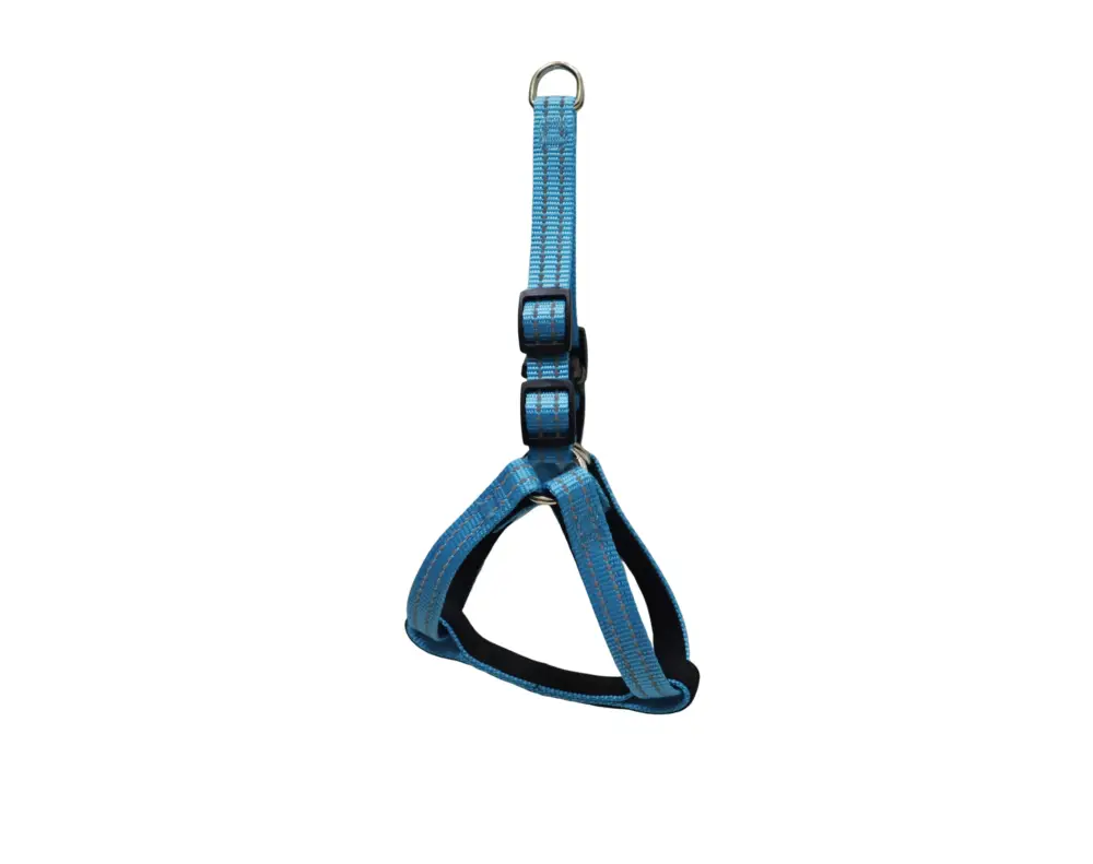 Satisfait Ou Remboursé Gotoo – Harnais Essentials en Nylon Premium Bleu pour Chien