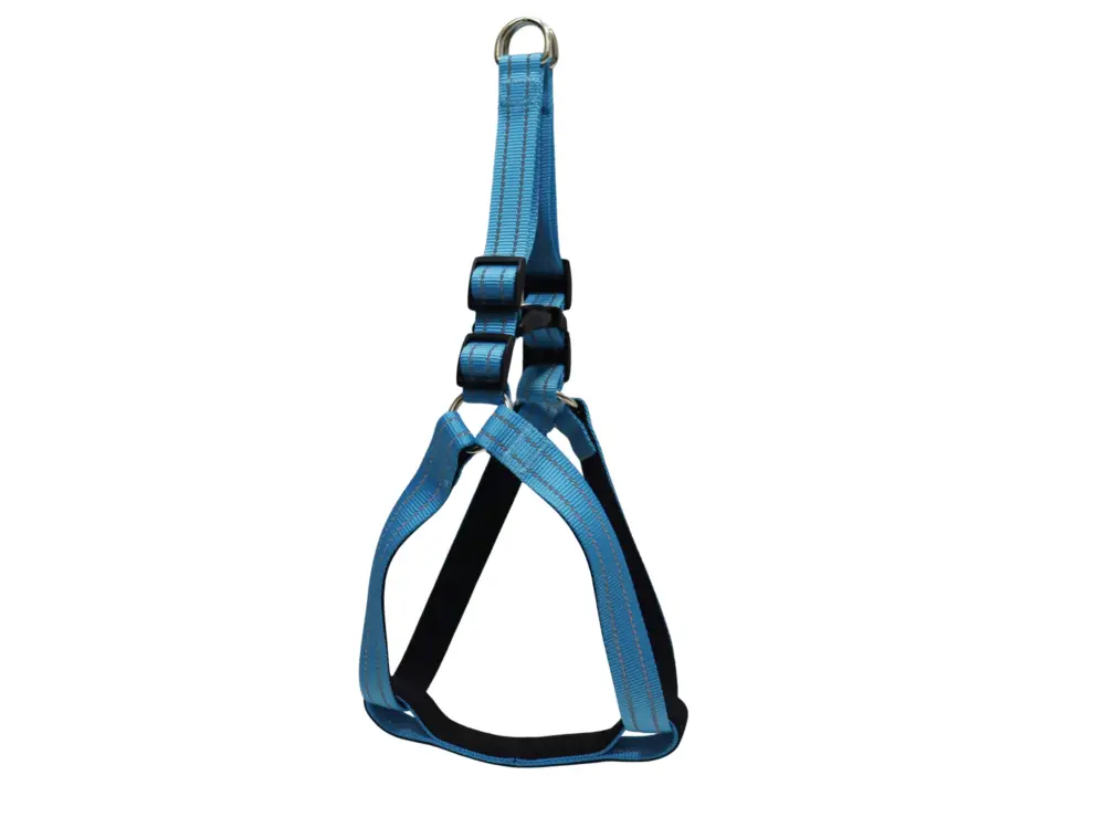 Gotoo – Harnais Essentials en Nylon Premium Bleu pour Chien Remise