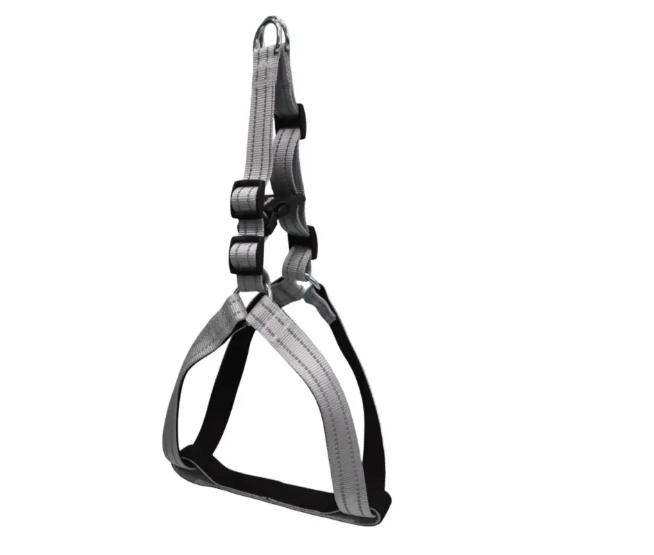 Achetez Aujourd'hui Gotoo - Harnais Essentials en Nylon Premium Gris pour Chien