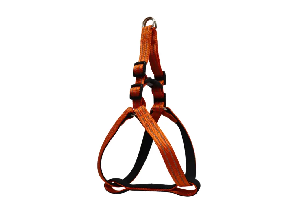 Retour Gratuit Gotoo – Harnais Essentials en Nylon Premium Orange pour Chien