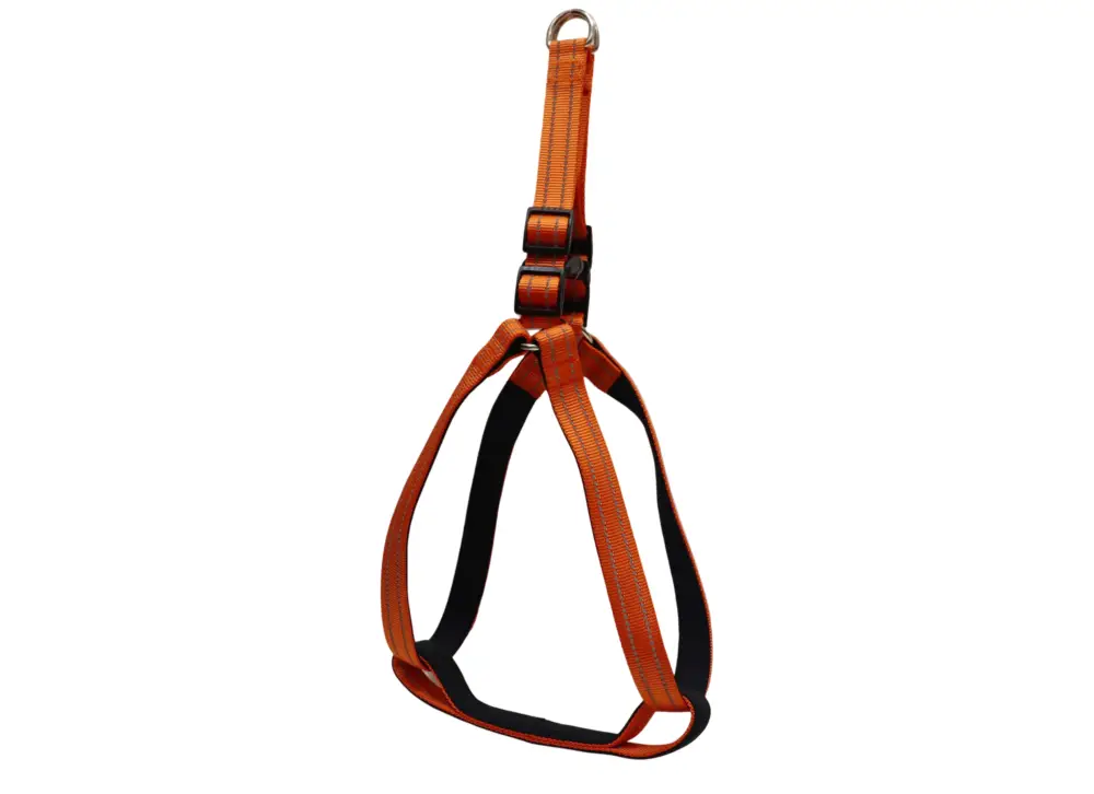 Gotoo - Harnais Essentials en Nylon Premium Orange pour Chien Expédié Aujourd'hui