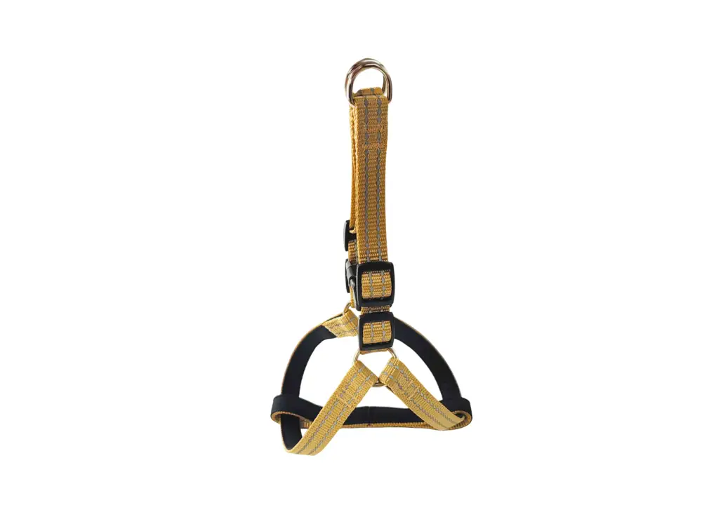 Gotoo – Harnais Essentials en Nylon Premium Beige pour Chien Prix Réduit