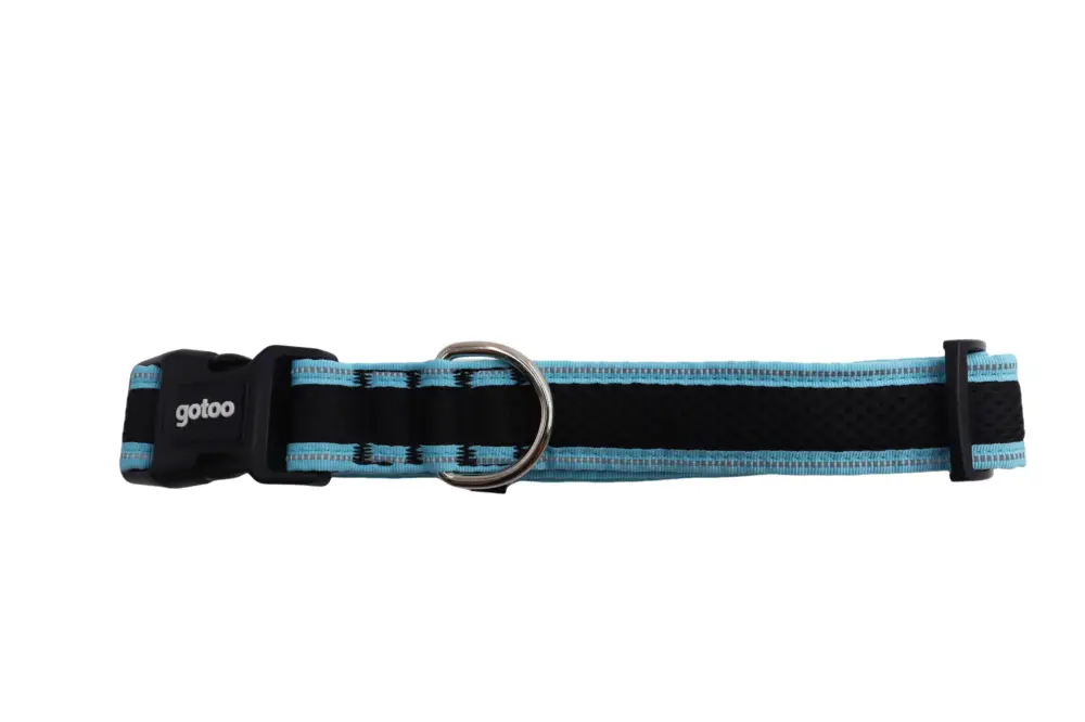 Réduction Gotoo – Collier Mesh Turquoise pour Chien