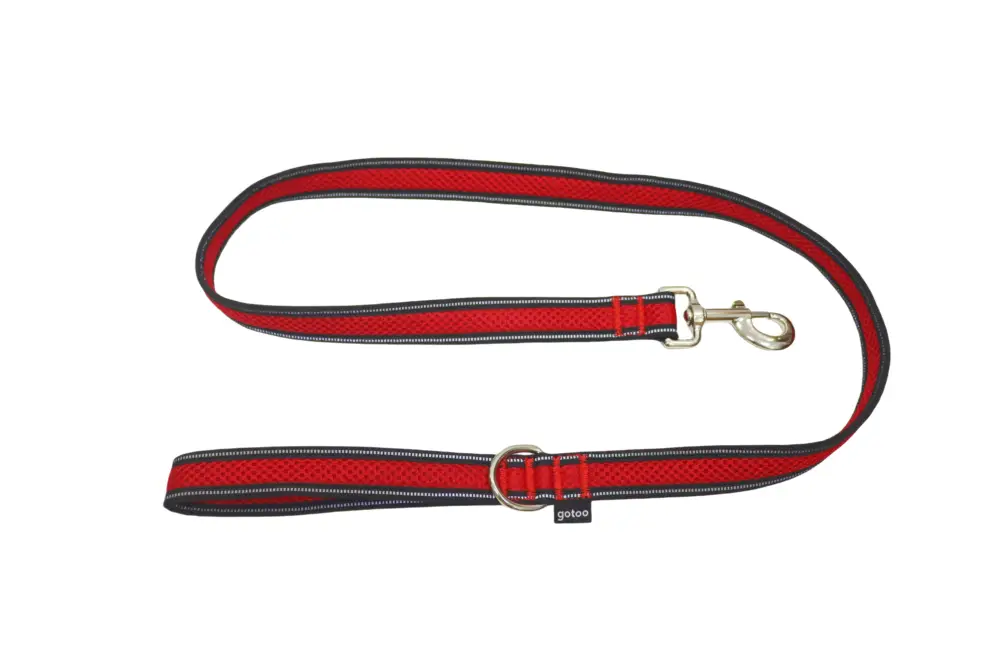 Commander Vite Gotoo - Laisse en Mesh 120cm pour Chien