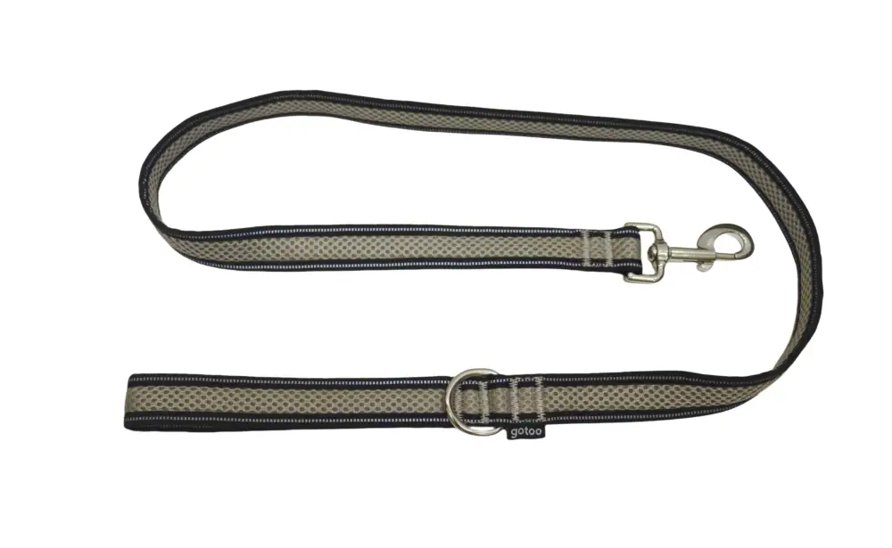 Bon Plan Gotoo – Laisse en Mesh 120cm pour Chien