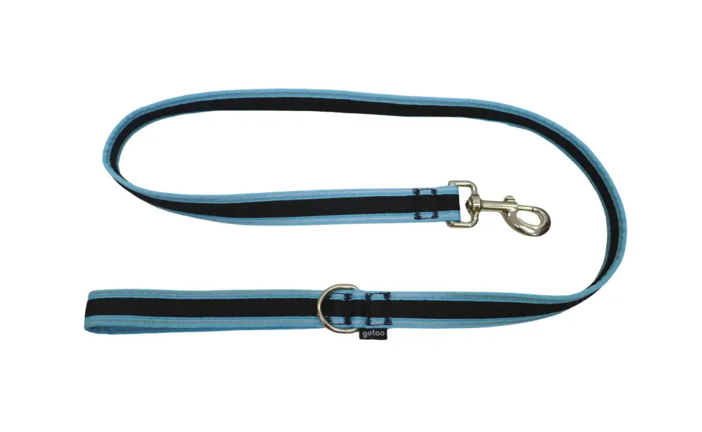 Gotoo - Laisse en Mesh 120cm pour Chien Nouvel Arrivage