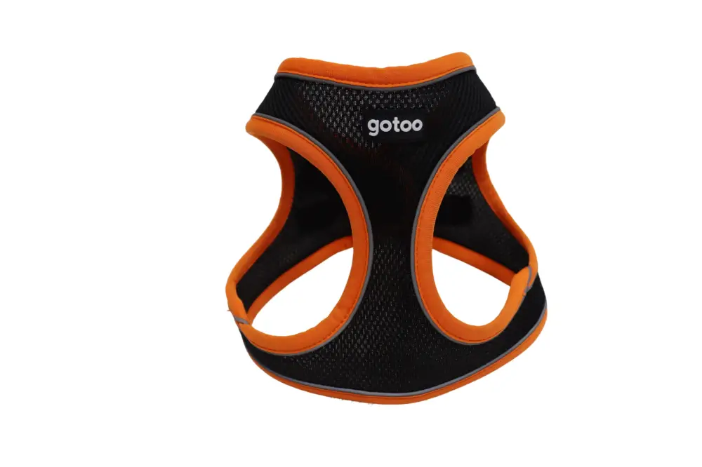Gotoo - Harnais en Mesh Orange pour Chien Bon Marché