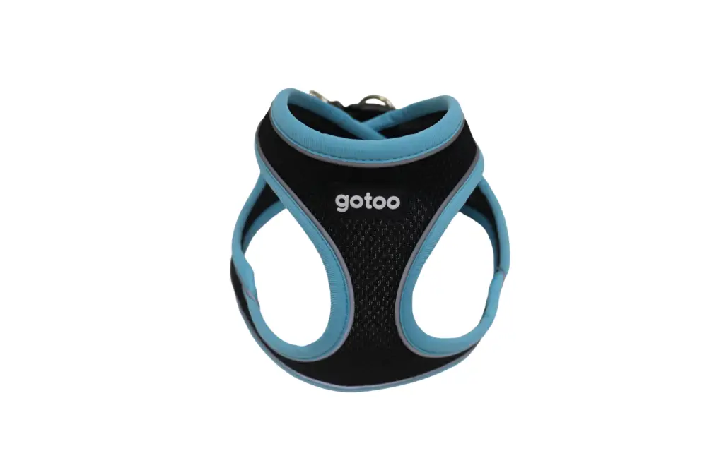 Gotoo - Harnais en Mesh Turquoise pour Chien Meilleur Prix